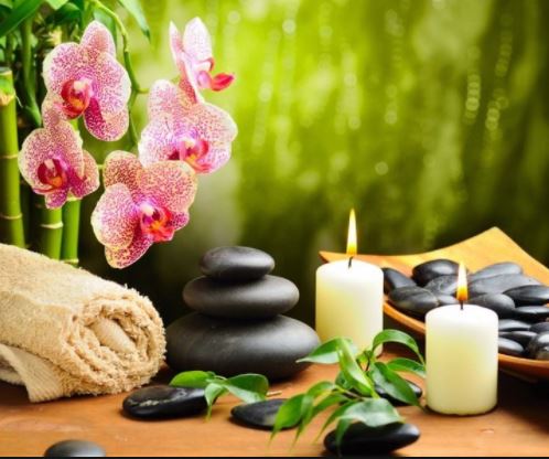 Thiết kế website spa