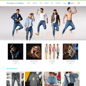 Mẫu 221 – Website bán hàng