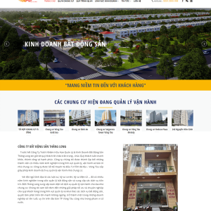 Mẫu 222 – Website giới thiệu